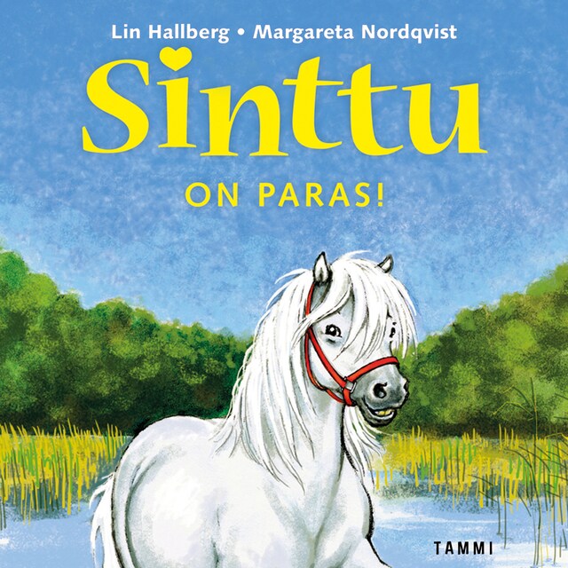Book cover for Sinttu on paras!