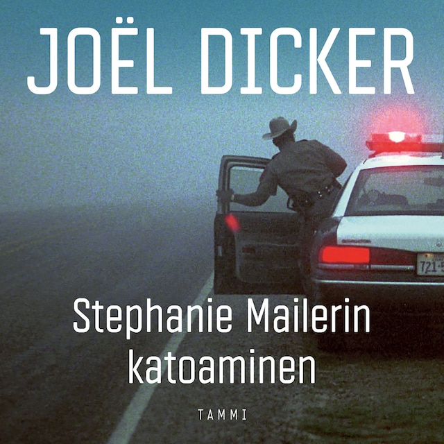 Book cover for Stephanie Mailerin katoaminen