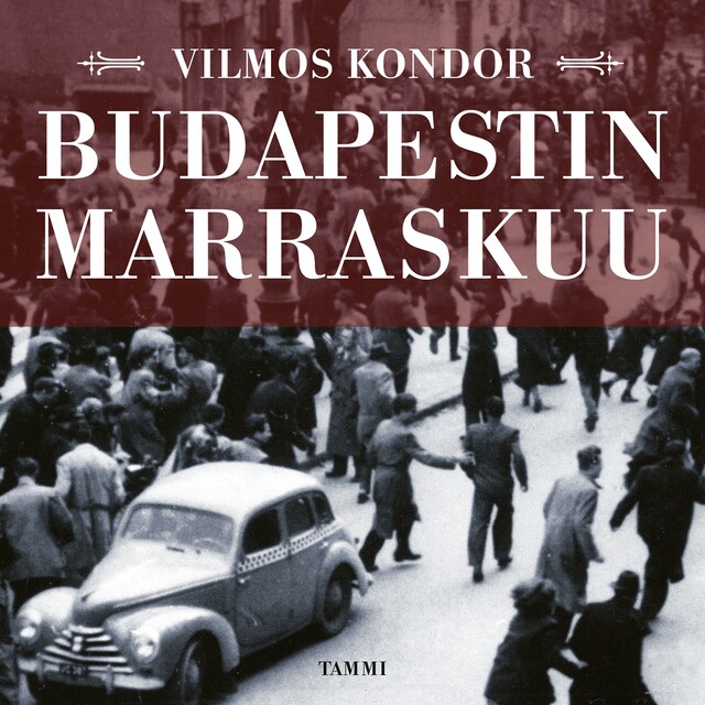 Buchcover für Budapestin marraskuu