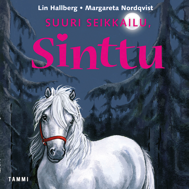 Book cover for Suuri seikkailu, Sinttu