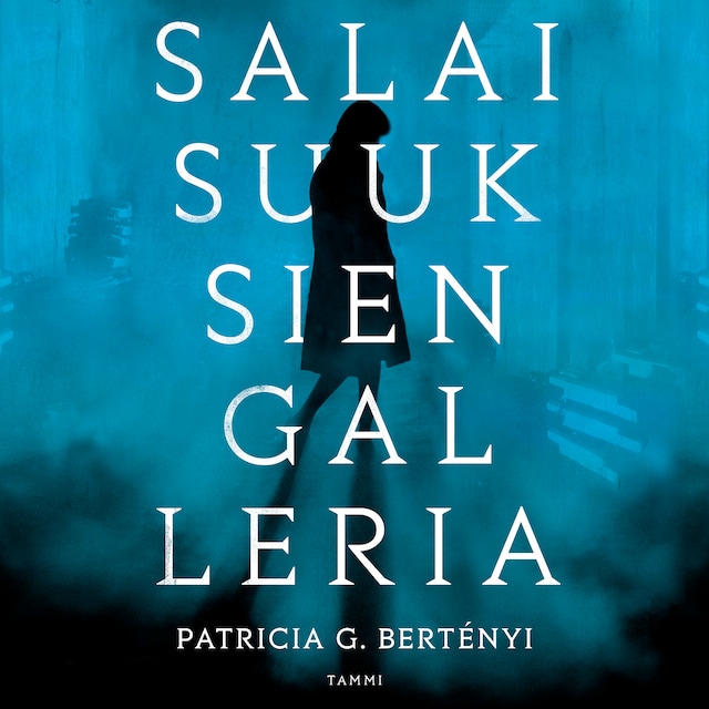 Book cover for Salaisuuksien galleria