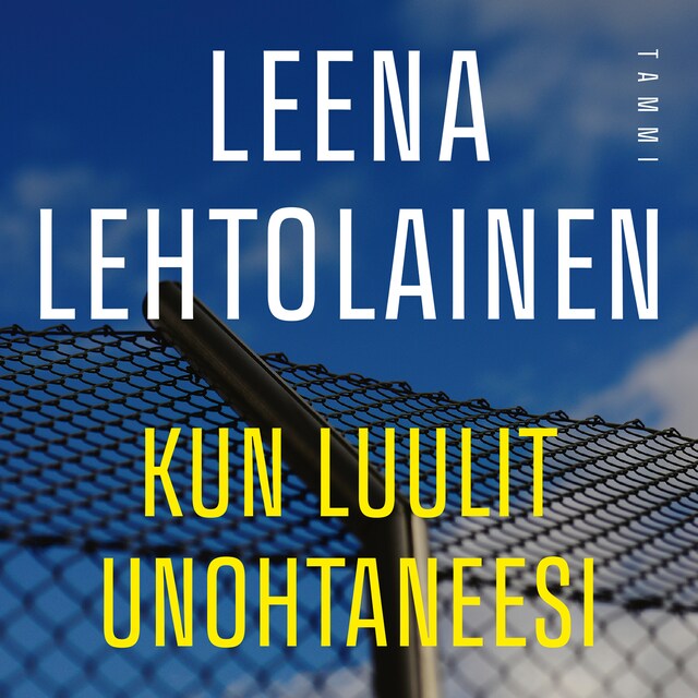 Book cover for Kun luulit unohtaneesi