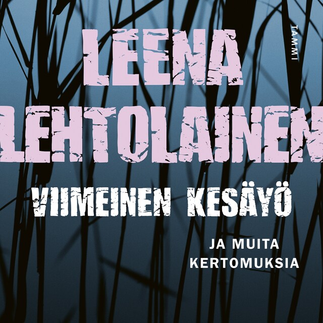 Book cover for Viimeinen kesäyö