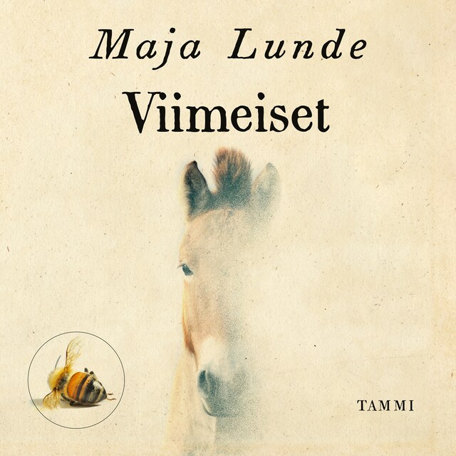 Book cover for Viimeiset