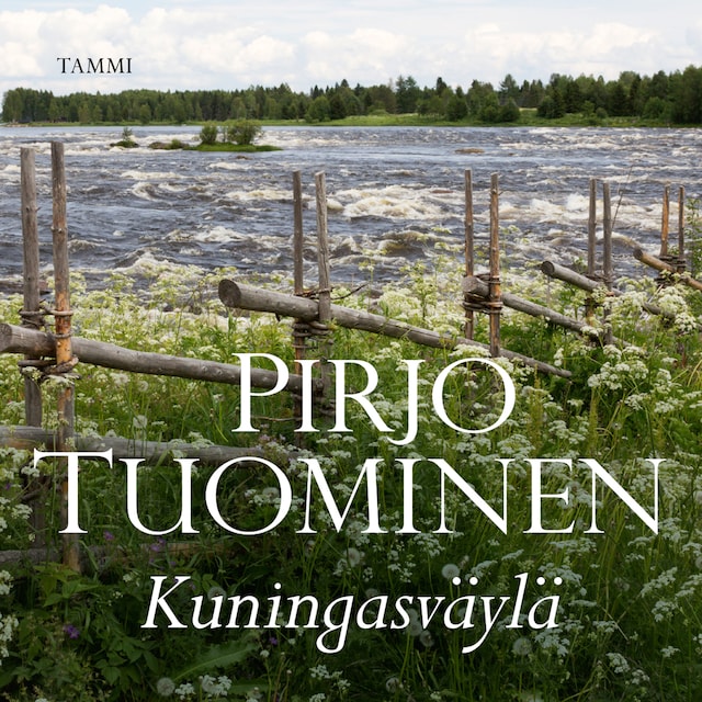 Book cover for Kuningasväylä