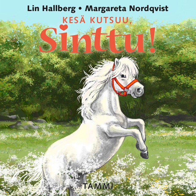 Book cover for Kesä kutsuu, Sinttu!