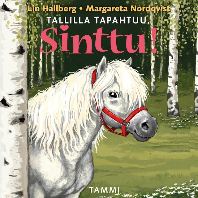Book cover for Tallilla tapahtuu, Sinttu