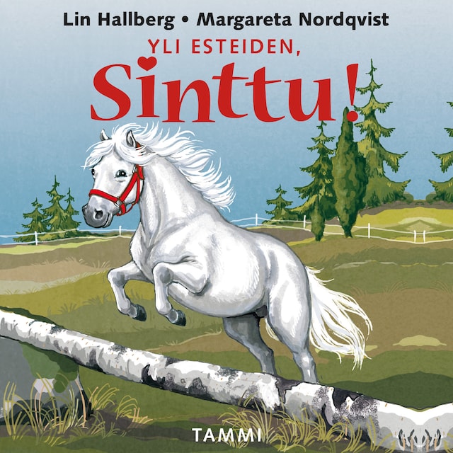 Book cover for Yli esteiden, Sinttu