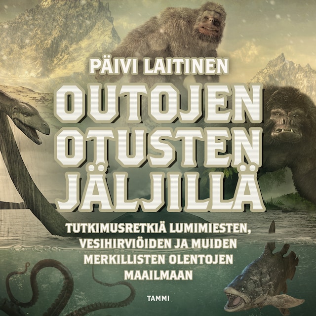 Book cover for Outojen otusten jäljillä