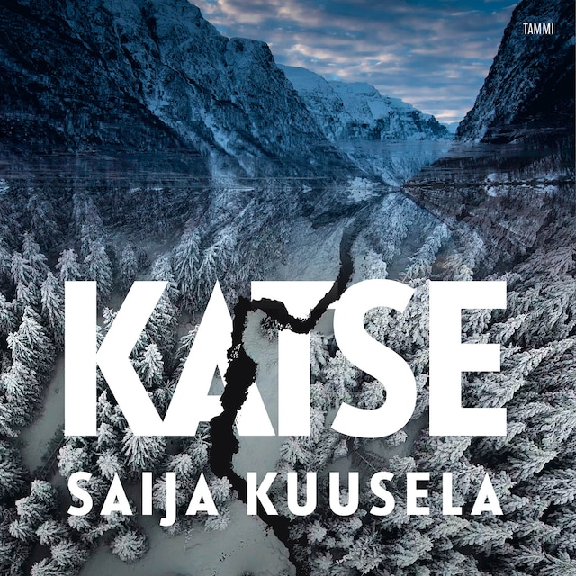 Book cover for Katse