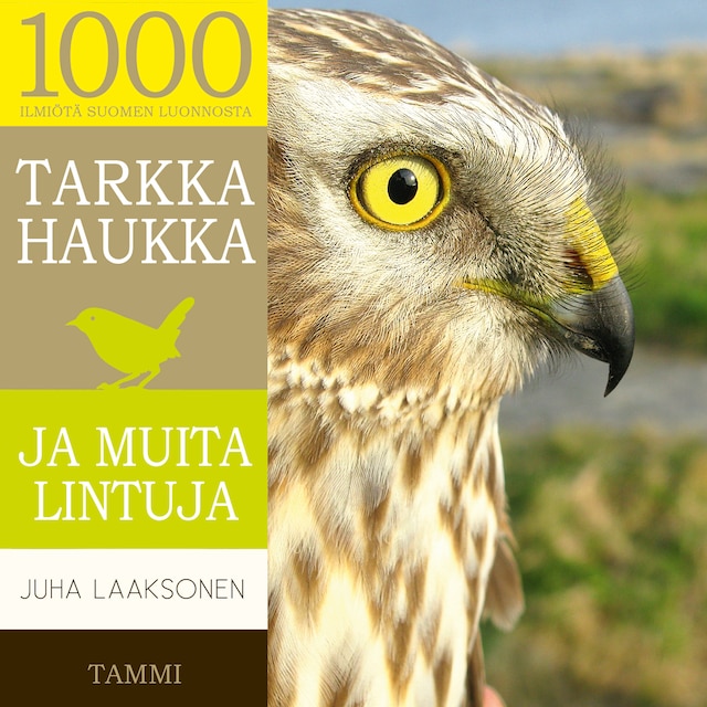 Buchcover für Tarkka haukka ja muita lintuja