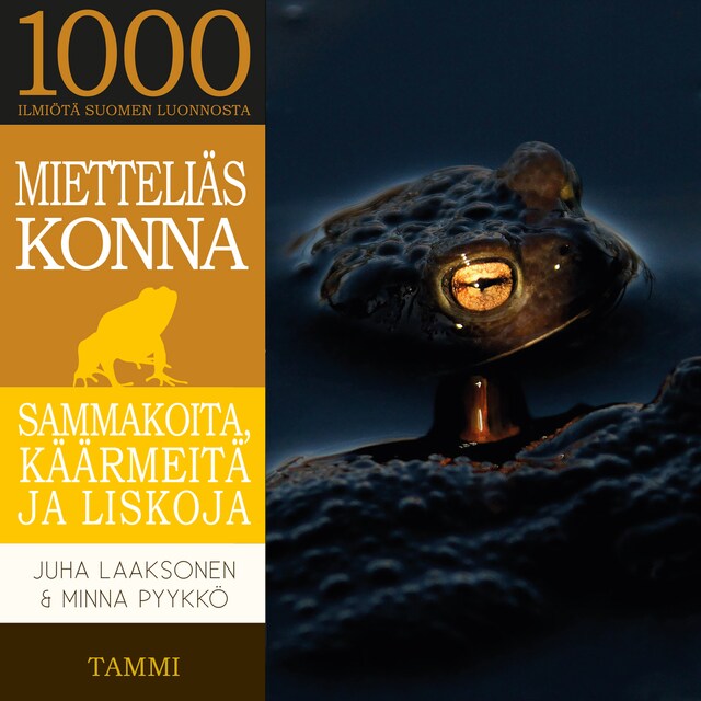 Book cover for Mietteliäs konna