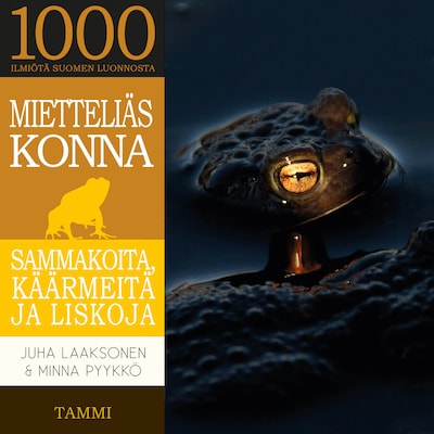 Mietteliäs konna - Äänikirja - Juha Laaksonen, Minna Pyykkö