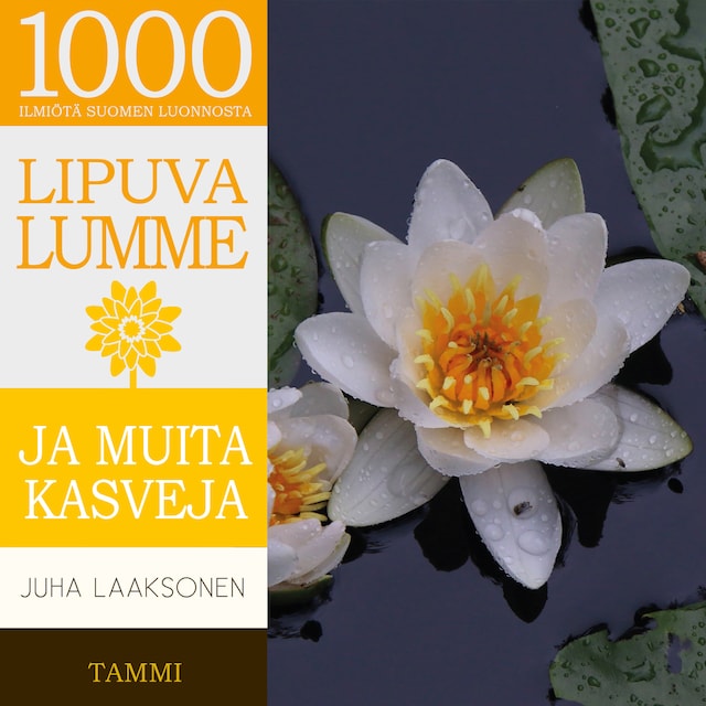 Book cover for Lipuva lumme ja muita kasveja