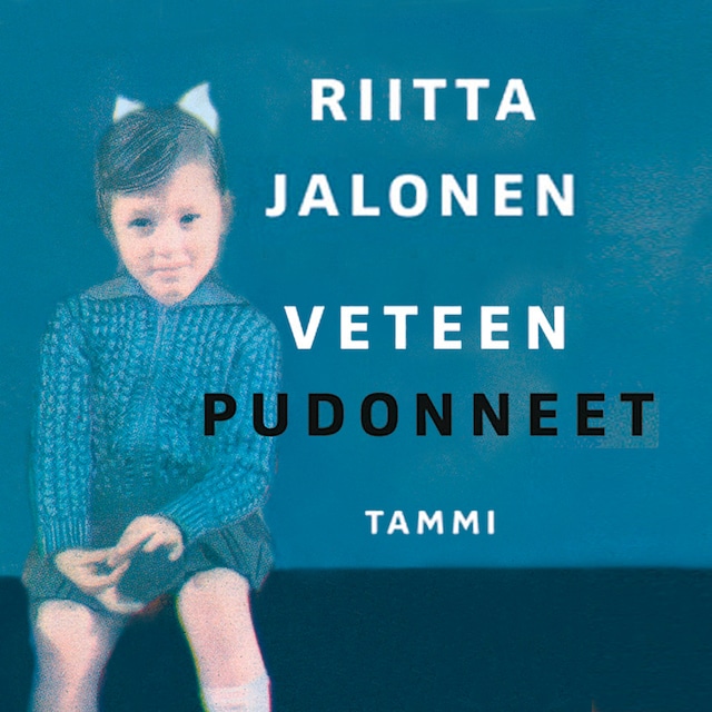 Book cover for Veteen pudonneet