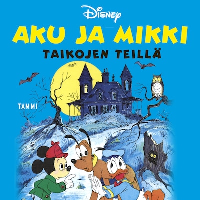 Aku ja Mikki taikojen teillä