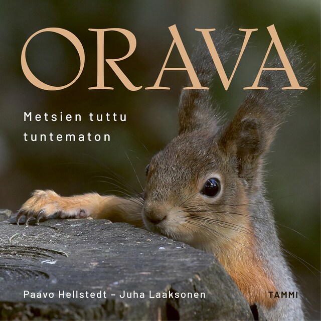 Book cover for Orava