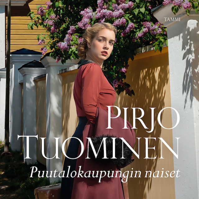 Buchcover für Puutalokaupungin naiset