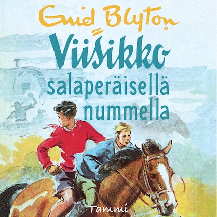 Viisikko salaperäisellä nummella bookCoverFor