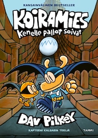 Koiramies kenelle pallot soivat
