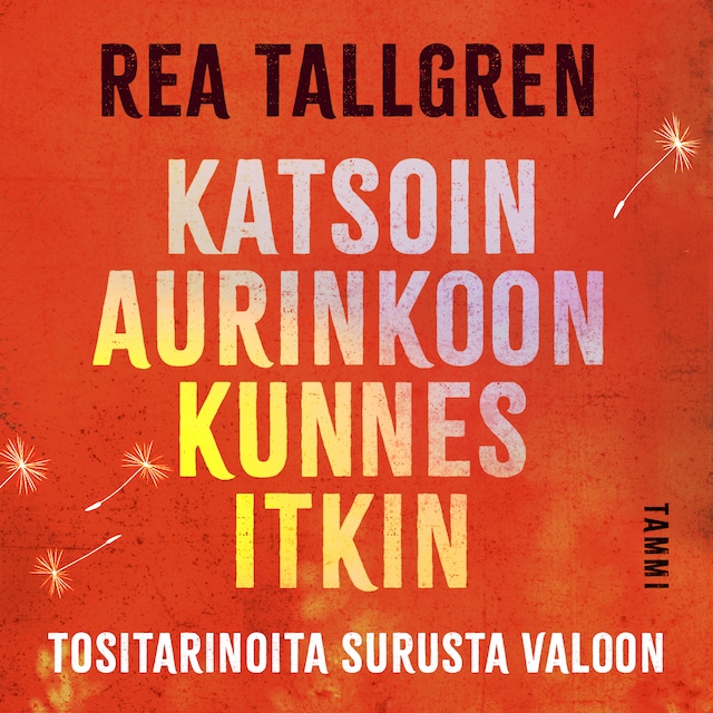 Book cover for Katsoin aurinkoon kunnes itkin