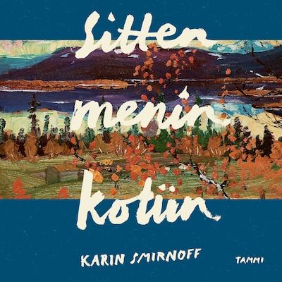 Sitten menin kotiin