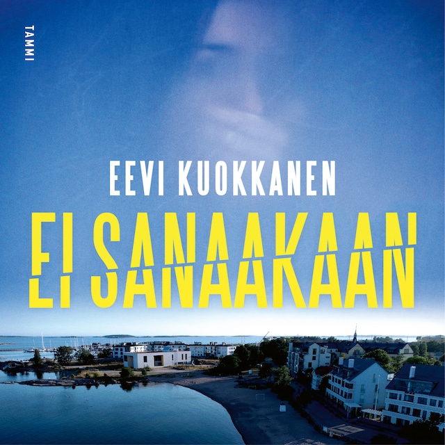 Book cover for Ei sanaakaan