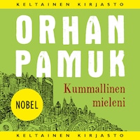 Kummallinen mieleni