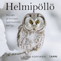 Helmipöllö