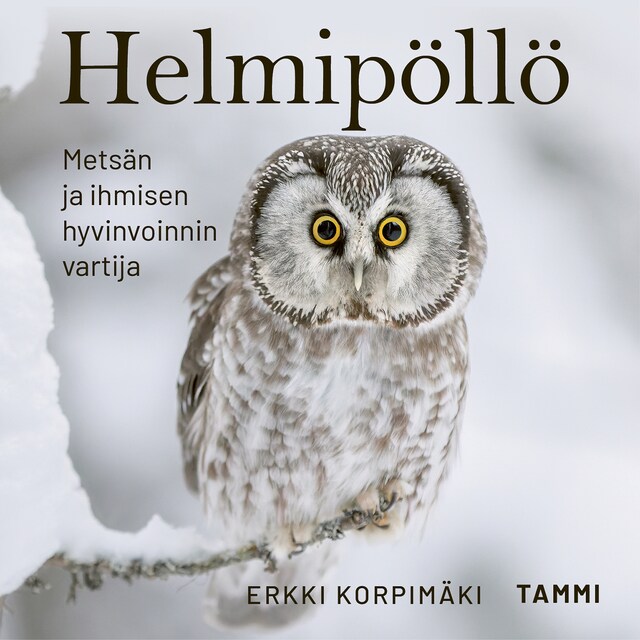 Book cover for Helmipöllö