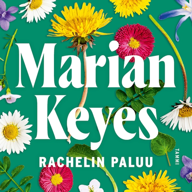 Book cover for Rachelin paluu