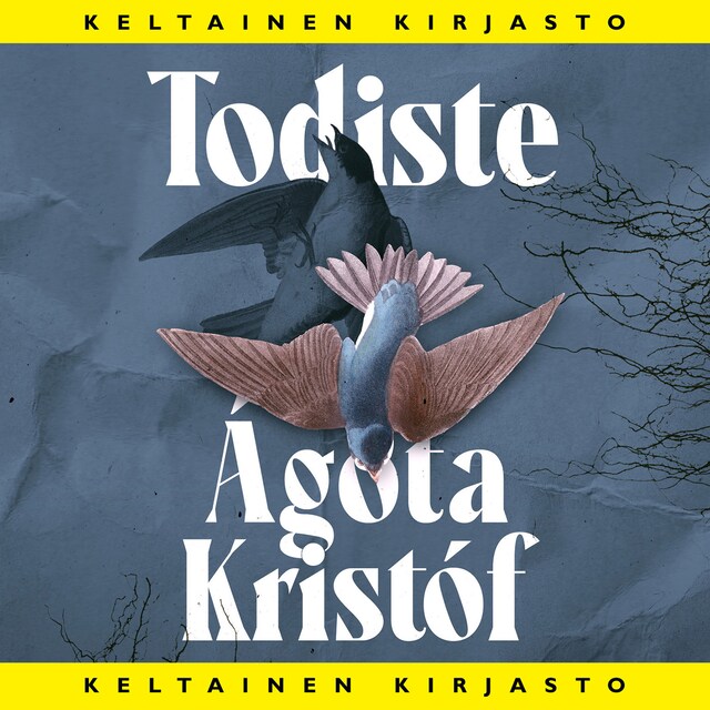 Book cover for Todiste