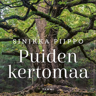 Puiden kertomaa