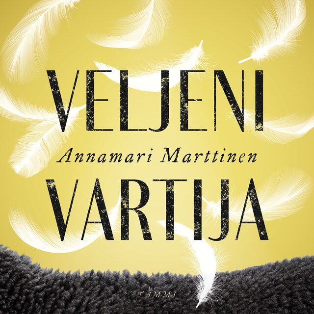 Buchcover für Veljeni vartija