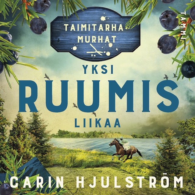 Boekomslag van Yksi ruumis liikaa