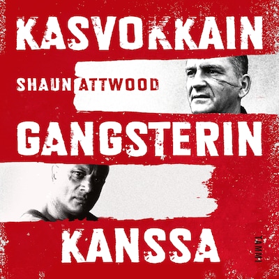 Kasvokkain gangsterin kanssa