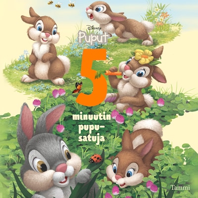 Disney Puput. 5 minuutin pupusatuja
