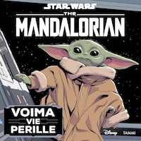 Star Wars. The Mandalorian. Voima vie perille. Luen itse
