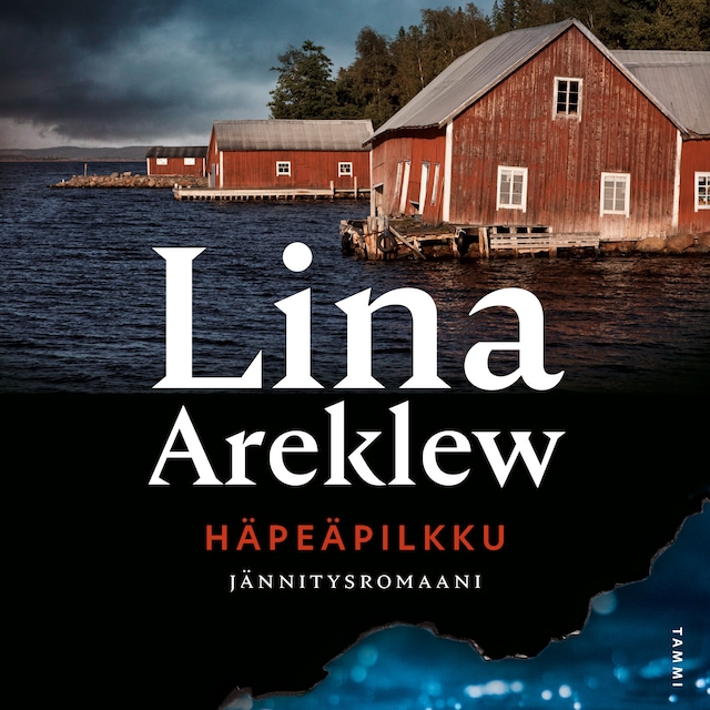 Book cover for Häpeäpilkku