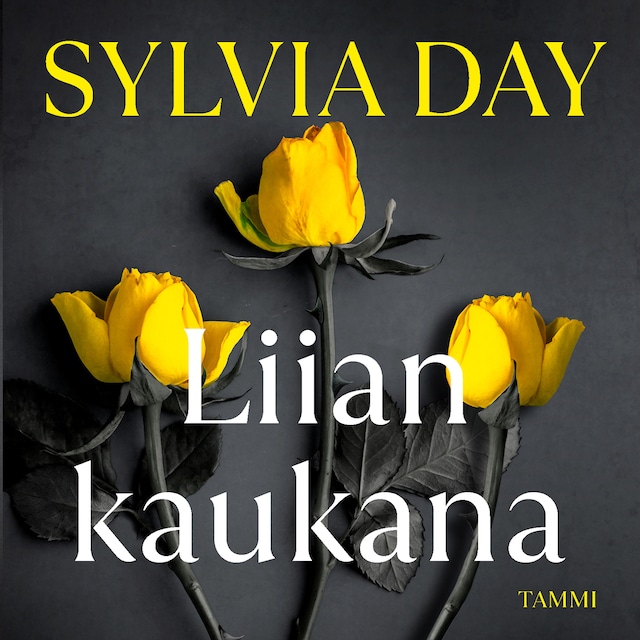 Buchcover für Liian kaukana