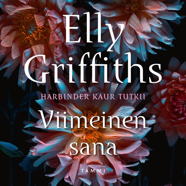 Book cover for Viimeinen sana