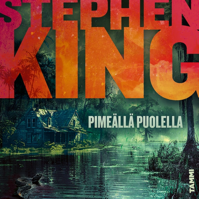 Book cover for Pimeällä puolella