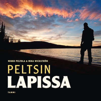 Peltsin Lapissa