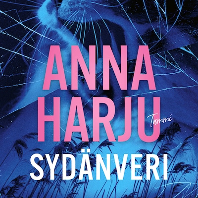 Sydänveri