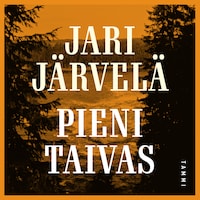 Pieni taivas