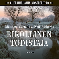 Rikollinen todistaja