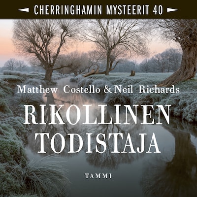 Rikollinen todistaja