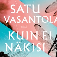 Kuin ei näkisi