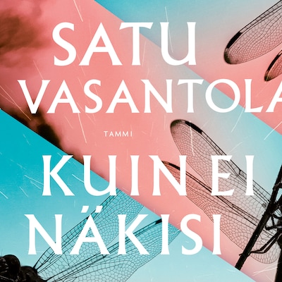 Kuin ei näkisi