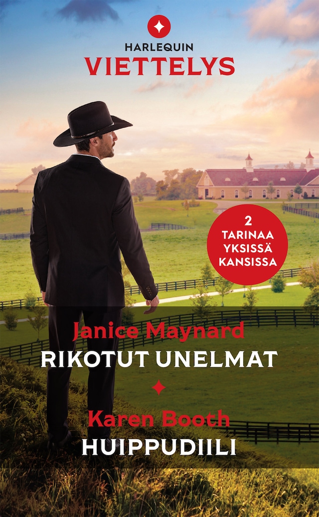 Book cover for Rikotut unelmat / Huippudiili